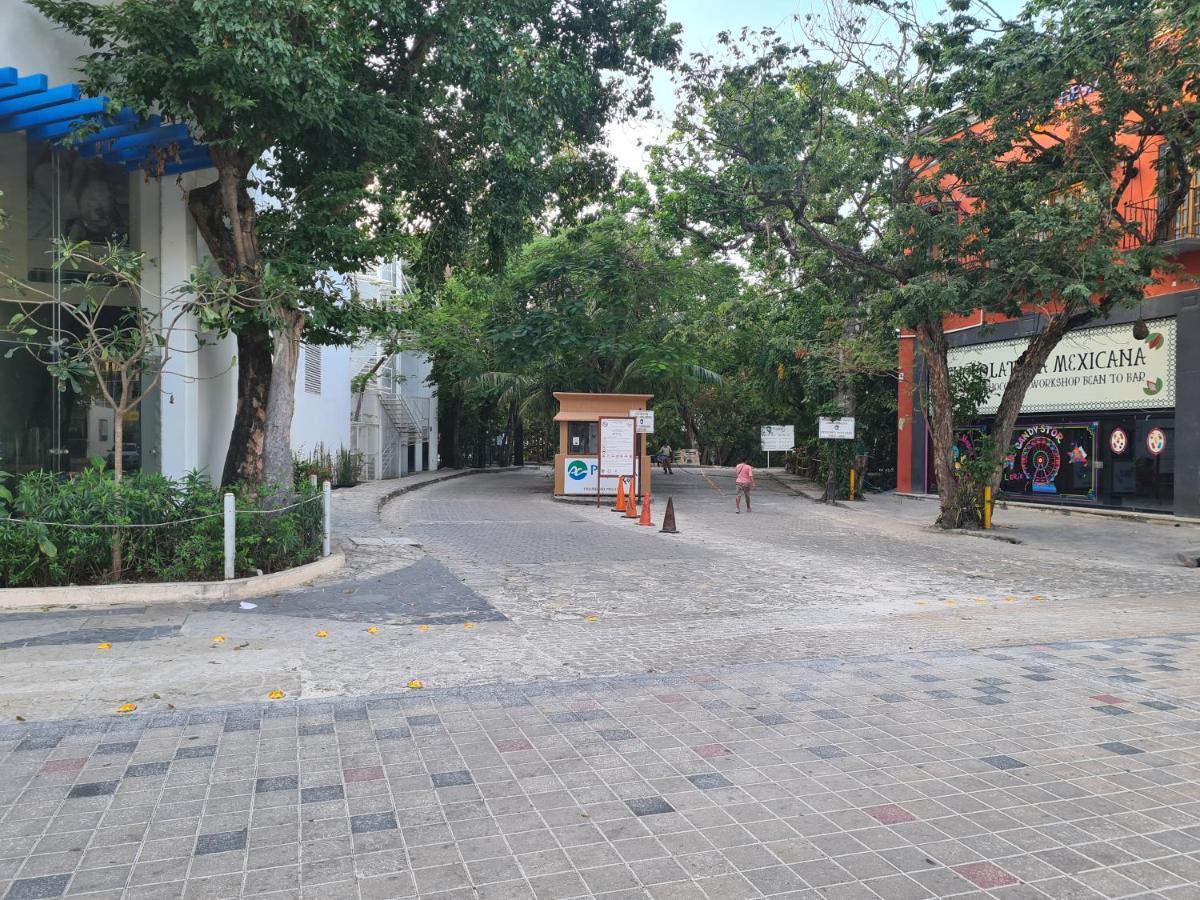 Ubicacion Inmejorable A Pasos De Playacar Beach Y 5ta Av Apartamento