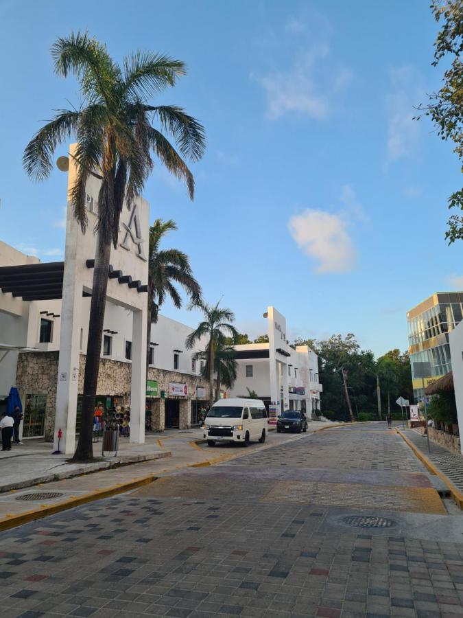 Ubicacion Inmejorable A Pasos De Playacar Beach Y 5ta Av